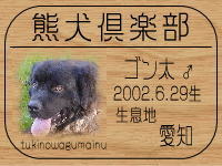 �S�����}�}����̂g�o�ւf�n�I